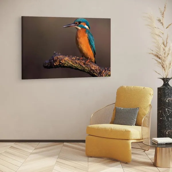 Multicolor_16_X_24_Inch,_Pine_Wood_Framed_Canvas_Paintings_|_For_Home_Decor,_Ready_To_Wall_Hanging,_Premium_Painting_|_For_|_Bedroom,_Living_Room,_Office_Wall_Decoration_|_Wall_Art_Painting,_Ct2105