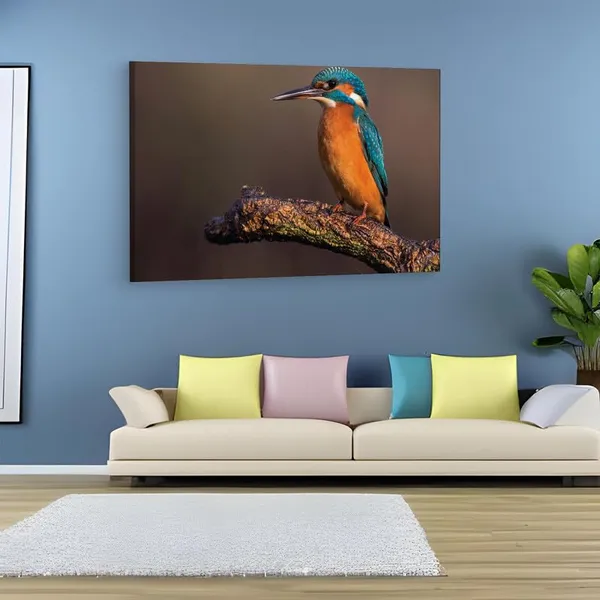 Multicolor_16_X_24_Inch,_Pine_Wood_Framed_Canvas_Paintings_|_For_Home_Decor,_Ready_To_Wall_Hanging,_Premium_Painting_|_For_|_Bedroom,_Living_Room,_Office_Wall_Decoration_|_Wall_Art_Painting,_Ct2105