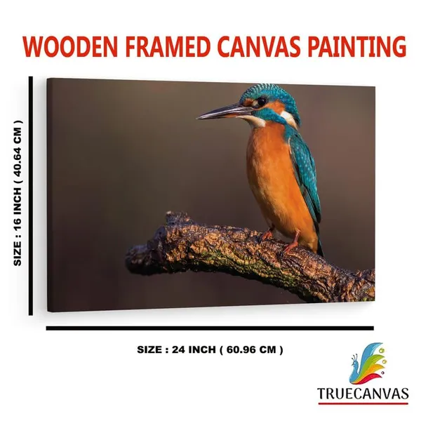 Multicolor_16_X_24_Inch,_Pine_Wood_Framed_Canvas_Paintings_|_For_Home_Decor,_Ready_To_Wall_Hanging,_Premium_Painting_|_For_|_Bedroom,_Living_Room,_Office_Wall_Decoration_|_Wall_Art_Painting,_Ct2105
