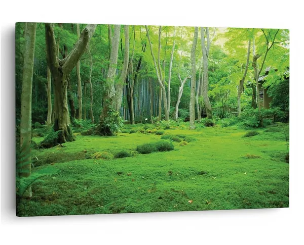 Multicolor_16_X_24_Inch,_Pine_Wood_Framed_Canvas_Paintings_|_For_Home_Decor,_Ready_To_Wall_Hanging,_Premium_Painting_|_For_|_Bedroom,_Living_Room,_Office_Wall_Decoration_|_Wall_Art_Painting,_Ct2111