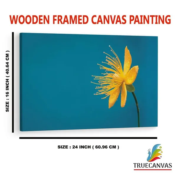 Multicolor_16_X_24_Inch,_Pine_Wood_Framed_Canvas_Paintings_|_For_Home_Decor,_Ready_To_Wall_Hanging,_Premium_Painting_|_For_|_Bedroom,_Living_Room,_Office_Wall_Decoration_|_Wall_Art_Painting,_Ct2112