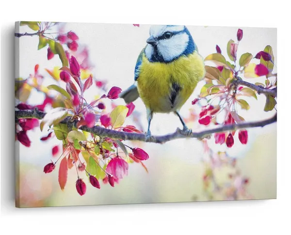 Multicolor_16_X_24_Inch,_Pine_Wood_Framed_Canvas_Paintings_|_For_Home_Decor,_Ready_To_Wall_Hanging,_Premium_Painting_|_For_|_Bedroom,_Living_Room,_Office_Wall_Decoration_|_Wall_Art_Painting,_Ct2113