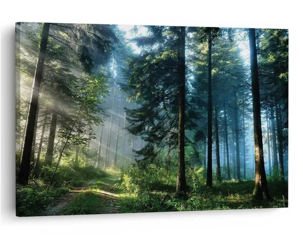 Multicolor_16_X_24_Inch,_Pine_Wood_Framed_Canvas_Paintings_|_For_Home_Decor,_Ready_To_Wall_Hanging,_Premium_Painting_|_For_|_Bedroom,_Living_Room,_Office_Wall_Decoration_|_Wall_Art_Painting,_Ct2119
