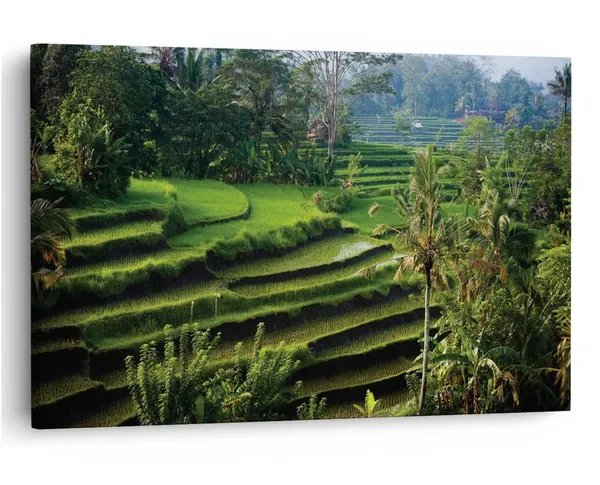 Multicolor_16_X_24_Inch,_Pine_Wood_Framed_Canvas_Paintings_|_For_Home_Decor,_Ready_To_Wall_Hanging,_Premium_Painting_|_For_|_Bedroom,_Living_Room,_Office_Wall_Decoration_|_Wall_Art_Painting,_Ct2120