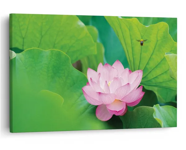 Multicolor_16_X_24_Inch,_Pine_Wood_Framed_Canvas_Paintings_|_For_Home_Decor,_Ready_To_Wall_Hanging,_Premium_Painting_|_For_|_Bedroom,_Living_Room,_Office_Wall_Decoration_|_Wall_Art_Painting,_Ct2124