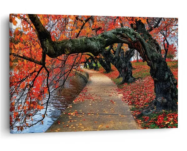 Multicolor_16_X_24_Inch,_Pine_Wood_Framed_Canvas_Paintings_|_For_Home_Decor,_Ready_To_Wall_Hanging,_Premium_Painting_|_For_|_Bedroom,_Living_Room,_Office_Wall_Decoration_|_Wall_Art_Painting,_Ct2126