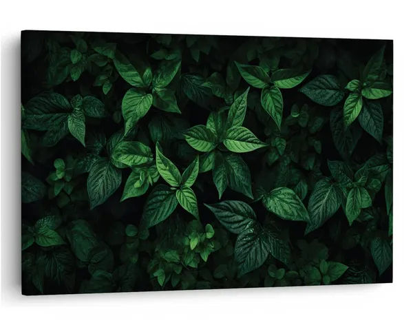 Multicolor_16_X_24_Inch,_Pine_Wood_Framed_Canvas_Paintings_|_For_Home_Decor,_Ready_To_Wall_Hanging,_Premium_Painting_|_For_|_Bedroom,_Living_Room,_Office_Wall_Decoration_|_Wall_Art_Painting,_Ct2141