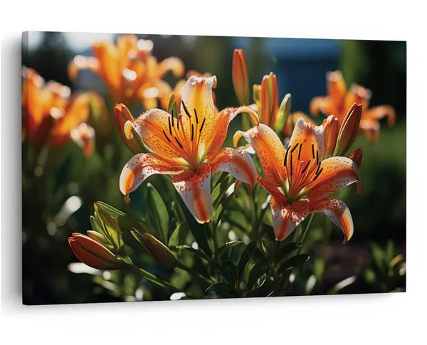 Multicolor_16_X_24_Inch,_Pine_Wood_Framed_Canvas_Paintings_|_For_Home_Decor,_Ready_To_Wall_Hanging,_Premium_Painting_|_For_|_Bedroom,_Living_Room,_Office_Wall_Decoration_|_Wall_Art_Painting,_Ct2144