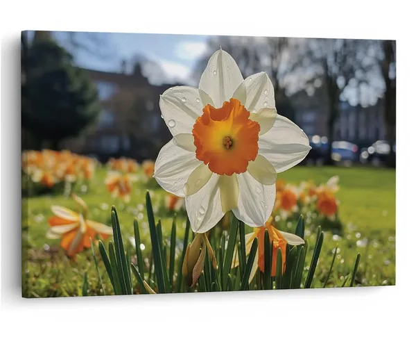 Multicolor_16_X_24_Inch,_Pine_Wood_Framed_Canvas_Paintings_|_For_Home_Decor,_Ready_To_Wall_Hanging,_Premium_Painting_|_For_|_Bedroom,_Living_Room,_Office_Wall_Decoration_|_Wall_Art_Painting,_Ct2162