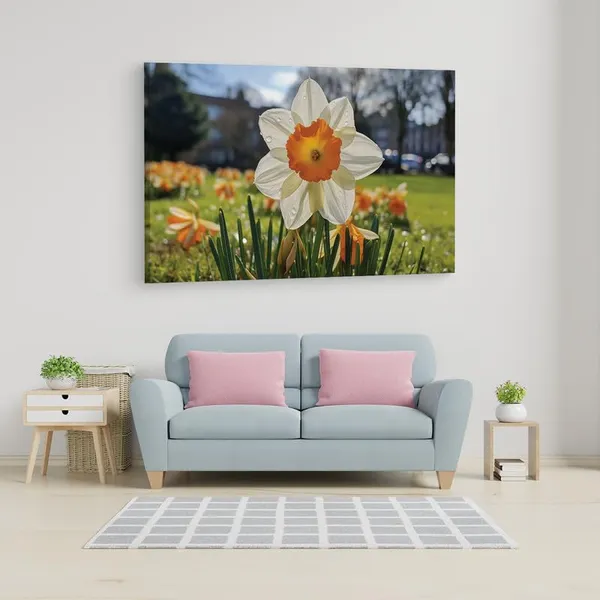 Multicolor_16_X_24_Inch,_Pine_Wood_Framed_Canvas_Paintings_|_For_Home_Decor,_Ready_To_Wall_Hanging,_Premium_Painting_|_For_|_Bedroom,_Living_Room,_Office_Wall_Decoration_|_Wall_Art_Painting,_Ct2162