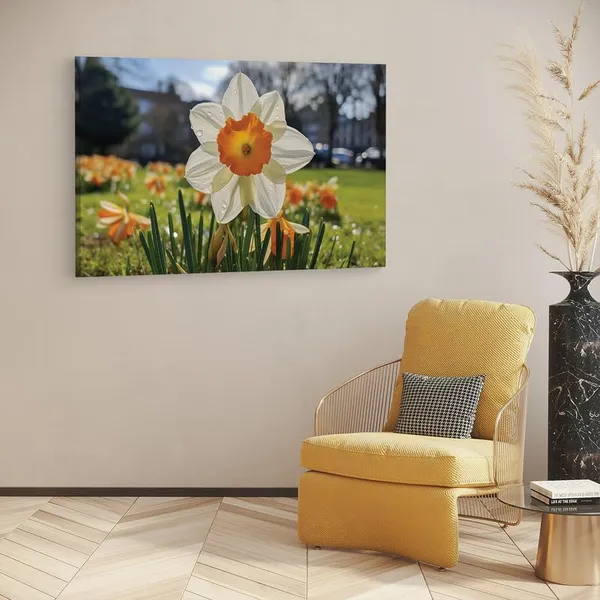 Multicolor_16_X_24_Inch,_Pine_Wood_Framed_Canvas_Paintings_|_For_Home_Decor,_Ready_To_Wall_Hanging,_Premium_Painting_|_For_|_Bedroom,_Living_Room,_Office_Wall_Decoration_|_Wall_Art_Painting,_Ct2162