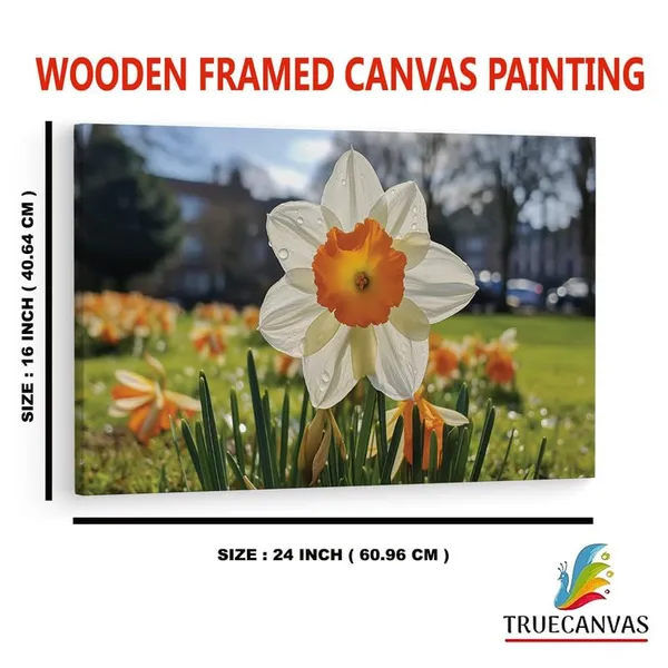 Multicolor_16_X_24_Inch,_Pine_Wood_Framed_Canvas_Paintings_|_For_Home_Decor,_Ready_To_Wall_Hanging,_Premium_Painting_|_For_|_Bedroom,_Living_Room,_Office_Wall_Decoration_|_Wall_Art_Painting,_Ct2162