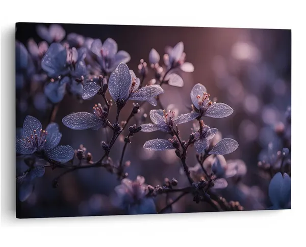 Multicolor_16_X_24_Inch,_Pine_Wood_Framed_Canvas_Paintings_|_For_Home_Decor,_Ready_To_Wall_Hanging,_Premium_Painting_|_For_|_Bedroom,_Living_Room,_Office_Wall_Decoration_|_Wall_Art_Painting,_Ct2207
