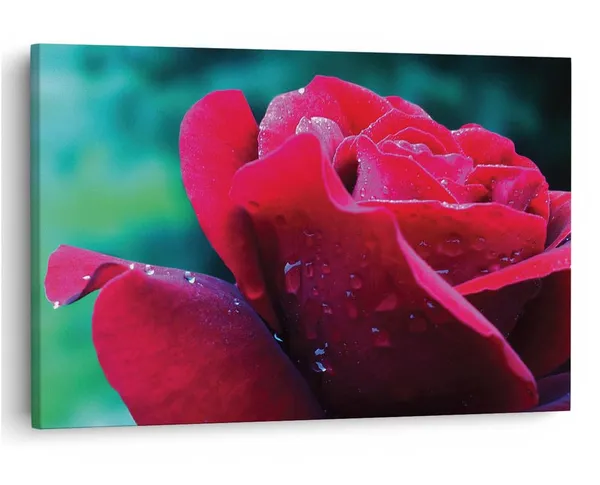 Multicolor_16_X_24_Inch,_Pine_Wood_Framed_Canvas_Paintings_|_For_Home_Decor,_Ready_To_Wall_Hanging,_Premium_Painting_|_For_|_Bedroom,_Living_Room,_Office_Wall_Decoration_|_Wall_Art_Painting,_Ct2208