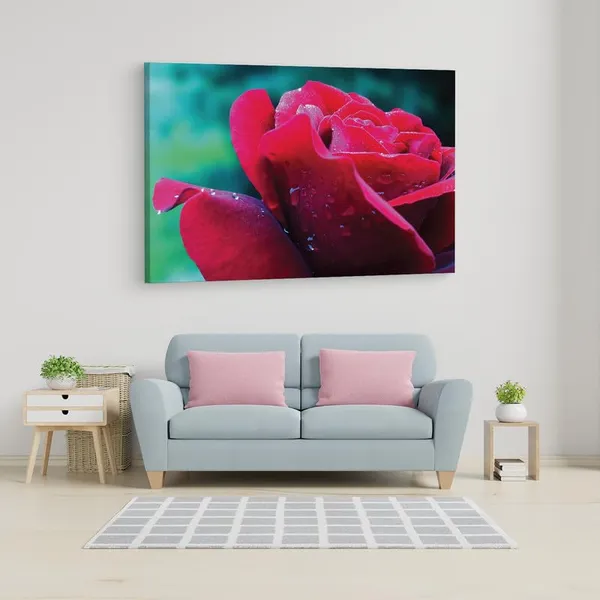 Multicolor_16_X_24_Inch,_Pine_Wood_Framed_Canvas_Paintings_|_For_Home_Decor,_Ready_To_Wall_Hanging,_Premium_Painting_|_For_|_Bedroom,_Living_Room,_Office_Wall_Decoration_|_Wall_Art_Painting,_Ct2208
