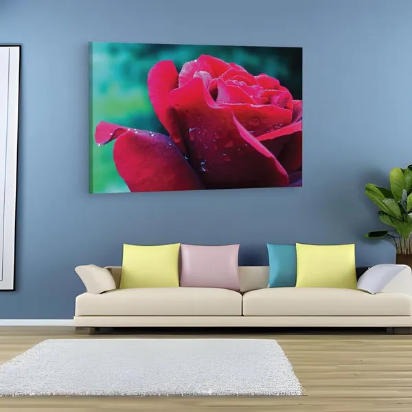 Multicolor_16_X_24_Inch,_Pine_Wood_Framed_Canvas_Paintings_|_For_Home_Decor,_Ready_To_Wall_Hanging,_Premium_Painting_|_For_|_Bedroom,_Living_Room,_Office_Wall_Decoration_|_Wall_Art_Painting,_Ct2208