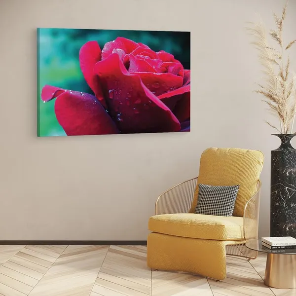 Multicolor_16_X_24_Inch,_Pine_Wood_Framed_Canvas_Paintings_|_For_Home_Decor,_Ready_To_Wall_Hanging,_Premium_Painting_|_For_|_Bedroom,_Living_Room,_Office_Wall_Decoration_|_Wall_Art_Painting,_Ct2208