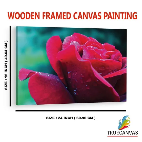 Multicolor_16_X_24_Inch,_Pine_Wood_Framed_Canvas_Paintings_|_For_Home_Decor,_Ready_To_Wall_Hanging,_Premium_Painting_|_For_|_Bedroom,_Living_Room,_Office_Wall_Decoration_|_Wall_Art_Painting,_Ct2208