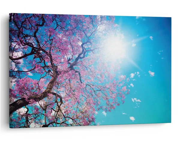 Multicolor_16_X_24_Inch,_Pine_Wood_Framed_Canvas_Paintings_|_For_Home_Decor,_Ready_To_Wall_Hanging,_Premium_Painting_|_For_|_Bedroom,_Living_Room,_Office_Wall_Decoration_|_Wall_Art_Painting,_Ct2210