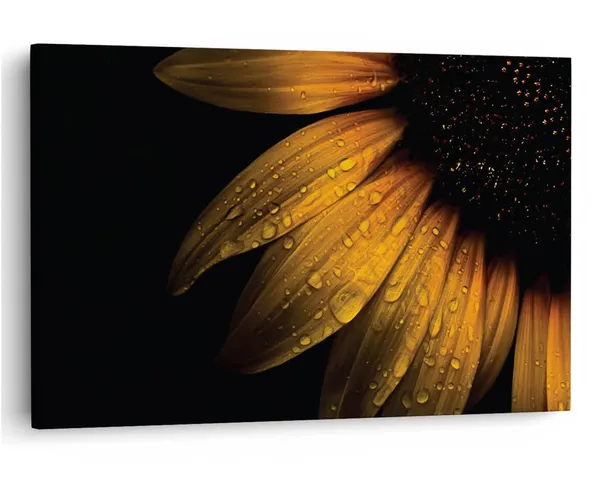 Multicolor_16_X_24_Inch,_Pine_Wood_Framed_Canvas_Paintings_|_For_Home_Decor,_Ready_To_Wall_Hanging,_Premium_Painting_|_For_|_Bedroom,_Living_Room,_Office_Wall_Decoration_|_Wall_Art_Painting,_Ct2215