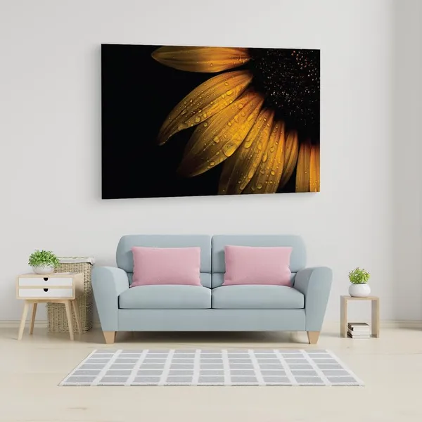 Multicolor_16_X_24_Inch,_Pine_Wood_Framed_Canvas_Paintings_|_For_Home_Decor,_Ready_To_Wall_Hanging,_Premium_Painting_|_For_|_Bedroom,_Living_Room,_Office_Wall_Decoration_|_Wall_Art_Painting,_Ct2215