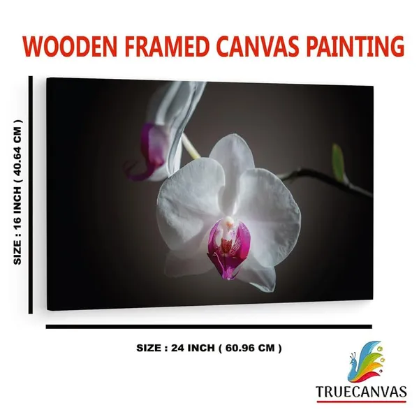 Multicolor_16_X_24_Inch,_Pine_Wood_Framed_Canvas_Paintings_|_For_Home_Decor,_Ready_To_Wall_Hanging,_Premium_Painting_|_For_|_Bedroom,_Living_Room,_Office_Wall_Decoration_|_Wall_Art_Painting,_Ct2216