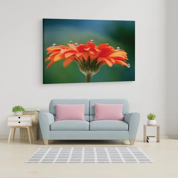 Multicolor_16_X_24_Inch,_Pine_Wood_Framed_Canvas_Paintings_|_For_Home_Decor,_Ready_To_Wall_Hanging,_Premium_Painting_|_For_|_Bedroom,_Living_Room,_Office_Wall_Decoration_|_Wall_Art_Painting,_Ct2222