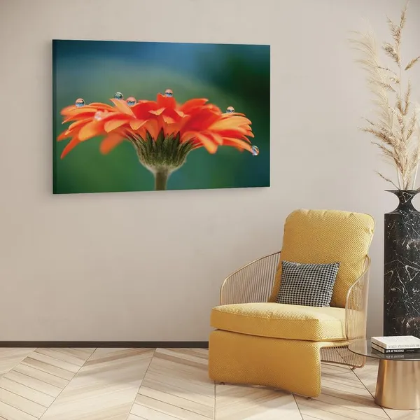 Multicolor_16_X_24_Inch,_Pine_Wood_Framed_Canvas_Paintings_|_For_Home_Decor,_Ready_To_Wall_Hanging,_Premium_Painting_|_For_|_Bedroom,_Living_Room,_Office_Wall_Decoration_|_Wall_Art_Painting,_Ct2222