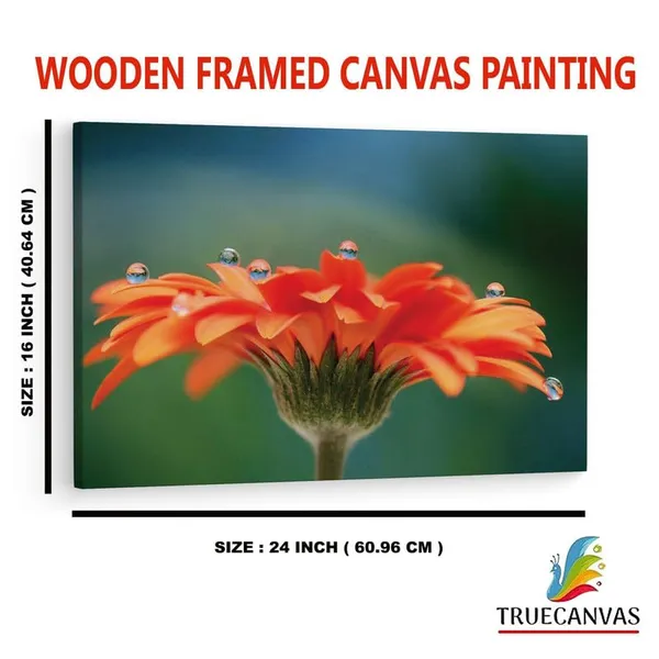 Multicolor_16_X_24_Inch,_Pine_Wood_Framed_Canvas_Paintings_|_For_Home_Decor,_Ready_To_Wall_Hanging,_Premium_Painting_|_For_|_Bedroom,_Living_Room,_Office_Wall_Decoration_|_Wall_Art_Painting,_Ct2222