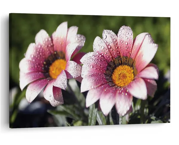 Multicolor_16_X_24_Inch,_Pine_Wood_Framed_Canvas_Paintings_|_For_Home_Decor,_Ready_To_Wall_Hanging,_Premium_Painting_|_For_|_Bedroom,_Living_Room,_Office_Wall_Decoration_|_Wall_Art_Painting,_Ct2223