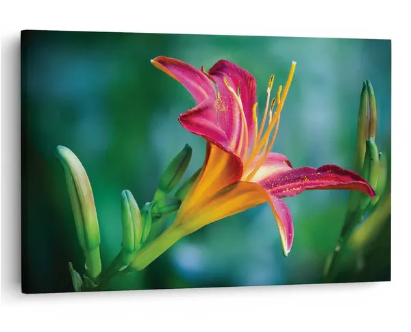 Multicolor_16_X_24_Inch,_Pine_Wood_Framed_Canvas_Paintings_|_For_Home_Decor,_Ready_To_Wall_Hanging,_Premium_Painting_|_For_|_Bedroom,_Living_Room,_Office_Wall_Decoration_|_Wall_Art_Painting,_Ct2229