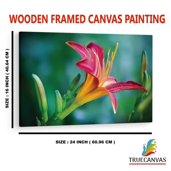 Multicolor_16_X_24_Inch,_Pine_Wood_Framed_Canvas_Paintings_|_For_Home_Decor,_Ready_To_Wall_Hanging,_Premium_Painting_|_For_|_Bedroom,_Living_Room,_Office_Wall_Decoration_|_Wall_Art_Painting,_Ct2229