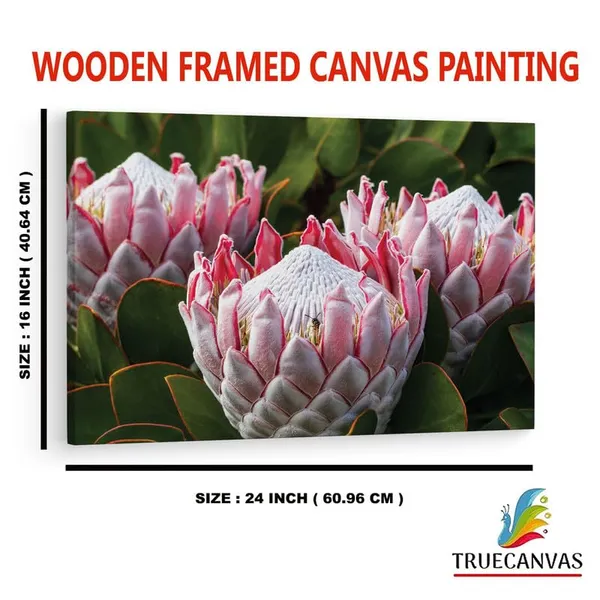 Multicolor_16_X_24_Inch,_Pine_Wood_Framed_Canvas_Paintings_|_For_Home_Decor,_Ready_To_Wall_Hanging,_Premium_Painting_|_For_|_Bedroom,_Living_Room,_Office_Wall_Decoration_|_Wall_Art_Painting,_Ct2233