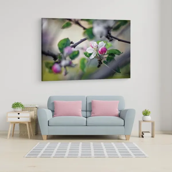 Multicolor_16_X_24_Inch,_Pine_Wood_Framed_Canvas_Paintings_|_For_Home_Decor,_Ready_To_Wall_Hanging,_Premium_Painting_|_For_|_Bedroom,_Living_Room,_Office_Wall_Decoration_|_Wall_Art_Painting,_Ct2234