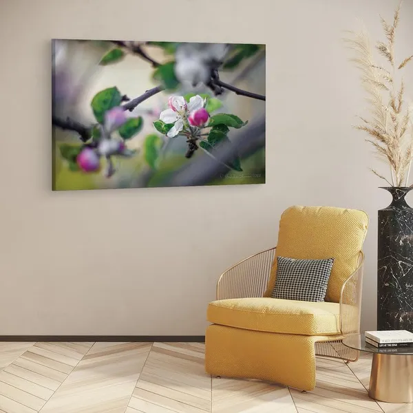 Multicolor_16_X_24_Inch,_Pine_Wood_Framed_Canvas_Paintings_|_For_Home_Decor,_Ready_To_Wall_Hanging,_Premium_Painting_|_For_|_Bedroom,_Living_Room,_Office_Wall_Decoration_|_Wall_Art_Painting,_Ct2234