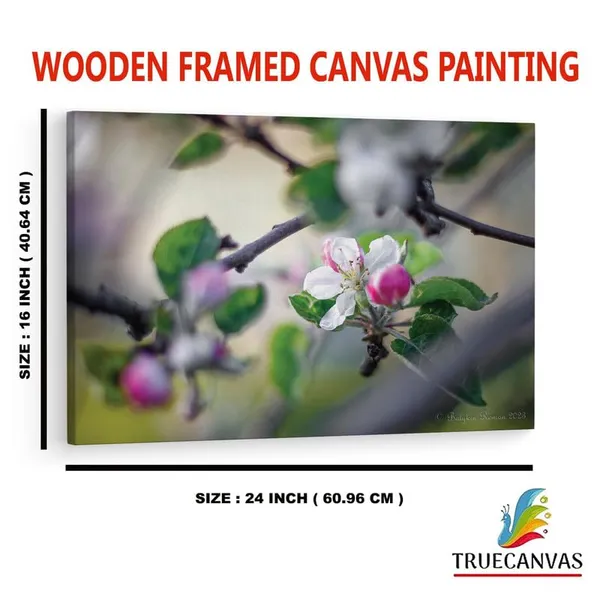 Multicolor_16_X_24_Inch,_Pine_Wood_Framed_Canvas_Paintings_|_For_Home_Decor,_Ready_To_Wall_Hanging,_Premium_Painting_|_For_|_Bedroom,_Living_Room,_Office_Wall_Decoration_|_Wall_Art_Painting,_Ct2234