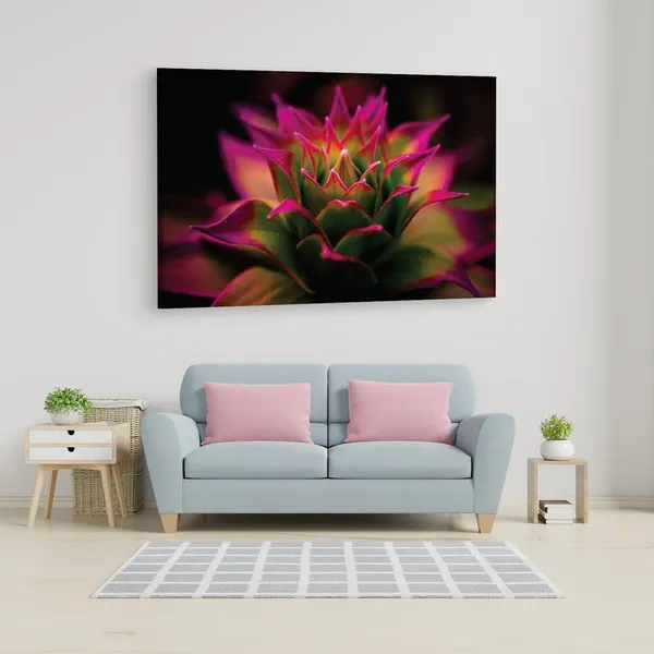 Multicolor_16_X_24_Inch,_Pine_Wood_Framed_Canvas_Paintings_|_For_Home_Decor,_Ready_To_Wall_Hanging,_Premium_Painting_|_For_|_Bedroom,_Living_Room,_Office_Wall_Decoration_|_Wall_Art_Painting,_Ct2235