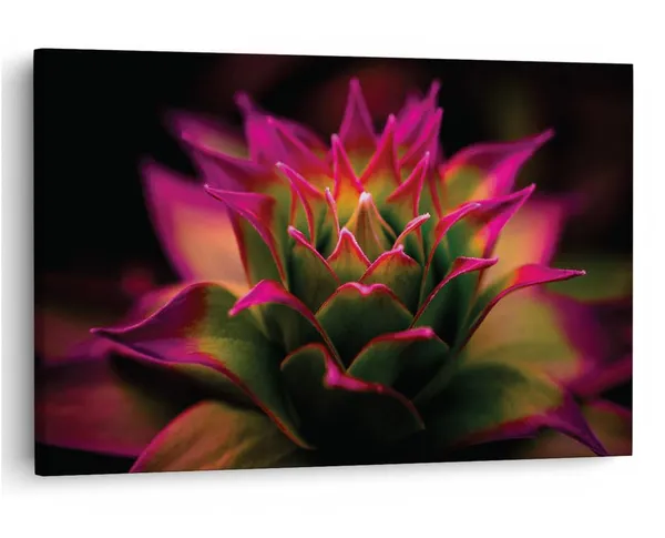 Multicolor_16_X_24_Inch,_Pine_Wood_Framed_Canvas_Paintings_|_For_Home_Decor,_Ready_To_Wall_Hanging,_Premium_Painting_|_For_|_Bedroom,_Living_Room,_Office_Wall_Decoration_|_Wall_Art_Painting,_Ct2235