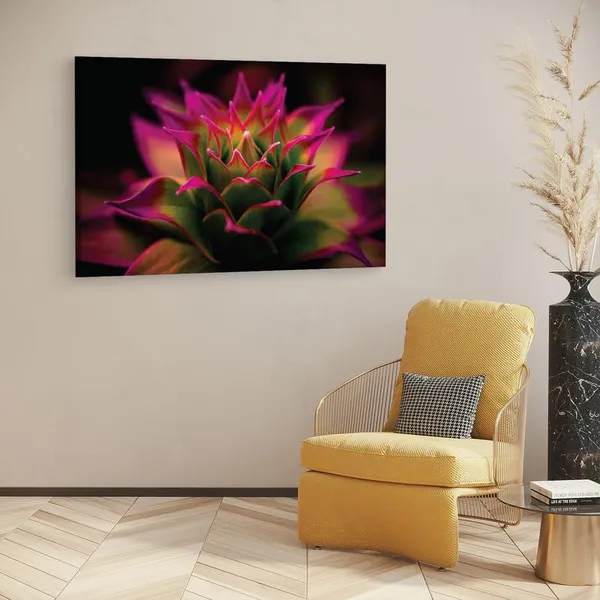 Multicolor_16_X_24_Inch,_Pine_Wood_Framed_Canvas_Paintings_|_For_Home_Decor,_Ready_To_Wall_Hanging,_Premium_Painting_|_For_|_Bedroom,_Living_Room,_Office_Wall_Decoration_|_Wall_Art_Painting,_Ct2235