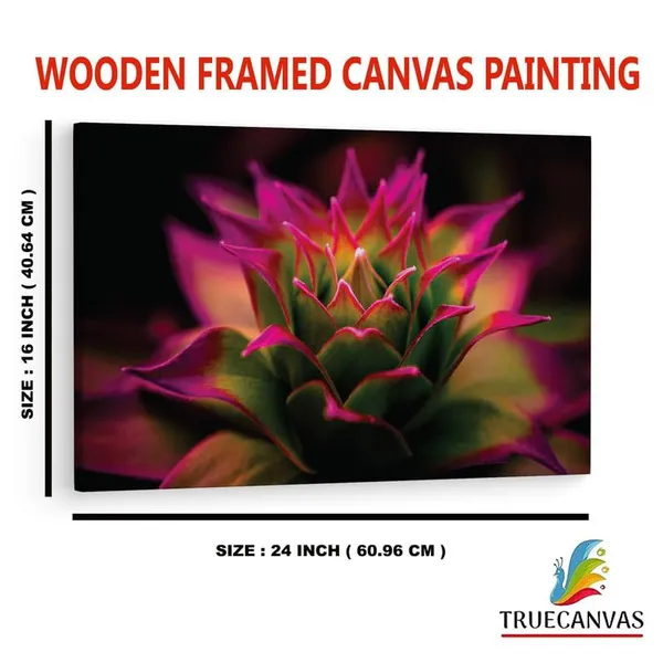 Multicolor_16_X_24_Inch,_Pine_Wood_Framed_Canvas_Paintings_|_For_Home_Decor,_Ready_To_Wall_Hanging,_Premium_Painting_|_For_|_Bedroom,_Living_Room,_Office_Wall_Decoration_|_Wall_Art_Painting,_Ct2235