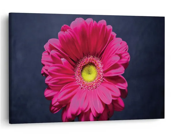 Multicolor_16_X_24_Inch,_Pine_Wood_Framed_Canvas_Paintings_|_For_Home_Decor,_Ready_To_Wall_Hanging,_Premium_Painting_|_For_|_Bedroom,_Living_Room,_Office_Wall_Decoration_|_Wall_Art_Painting,_Ct2237