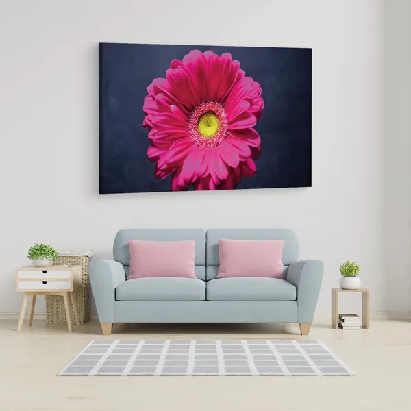 Multicolor_16_X_24_Inch,_Pine_Wood_Framed_Canvas_Paintings_|_For_Home_Decor,_Ready_To_Wall_Hanging,_Premium_Painting_|_For_|_Bedroom,_Living_Room,_Office_Wall_Decoration_|_Wall_Art_Painting,_Ct2237