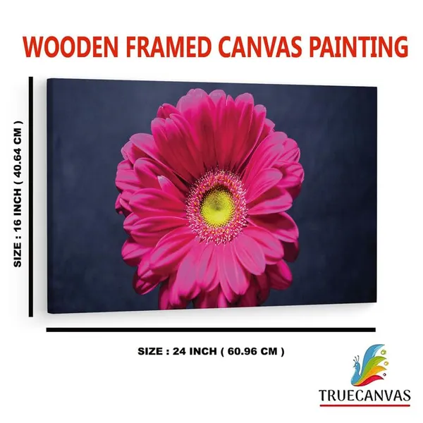 Multicolor_16_X_24_Inch,_Pine_Wood_Framed_Canvas_Paintings_|_For_Home_Decor,_Ready_To_Wall_Hanging,_Premium_Painting_|_For_|_Bedroom,_Living_Room,_Office_Wall_Decoration_|_Wall_Art_Painting,_Ct2237