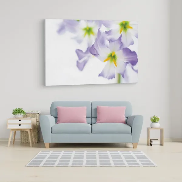 Multicolor_16_X_24_Inch,_Pine_Wood_Framed_Canvas_Paintings_|_For_Home_Decor,_Ready_To_Wall_Hanging,_Premium_Painting_|_For_|_Bedroom,_Living_Room,_Office_Wall_Decoration_|_Wall_Art_Painting,_Ct2238