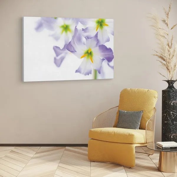 Multicolor_16_X_24_Inch,_Pine_Wood_Framed_Canvas_Paintings_|_For_Home_Decor,_Ready_To_Wall_Hanging,_Premium_Painting_|_For_|_Bedroom,_Living_Room,_Office_Wall_Decoration_|_Wall_Art_Painting,_Ct2238