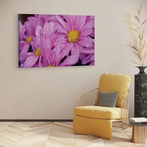 Multicolor_16_X_24_Inch,_Pine_Wood_Framed_Canvas_Paintings_|_For_Home_Decor,_Ready_To_Wall_Hanging,_Premium_Painting_|_For_|_Bedroom,_Living_Room,_Office_Wall_Decoration_|_Wall_Art_Painting,_Ct2241