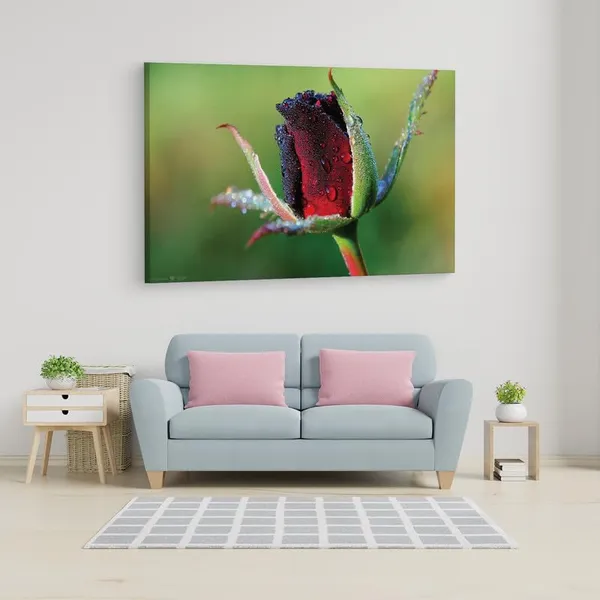 Multicolor_16_X_24_Inch,_Pine_Wood_Framed_Canvas_Paintings_|_For_Home_Decor,_Ready_To_Wall_Hanging,_Premium_Painting_|_For_|_Bedroom,_Living_Room,_Office_Wall_Decoration_|_Wall_Art_Painting,_Ct2243