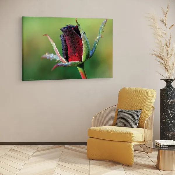 Multicolor_16_X_24_Inch,_Pine_Wood_Framed_Canvas_Paintings_|_For_Home_Decor,_Ready_To_Wall_Hanging,_Premium_Painting_|_For_|_Bedroom,_Living_Room,_Office_Wall_Decoration_|_Wall_Art_Painting,_Ct2243