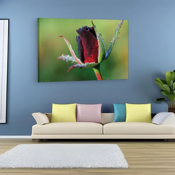 Multicolor_16_X_24_Inch,_Pine_Wood_Framed_Canvas_Paintings_|_For_Home_Decor,_Ready_To_Wall_Hanging,_Premium_Painting_|_For_|_Bedroom,_Living_Room,_Office_Wall_Decoration_|_Wall_Art_Painting,_Ct2243