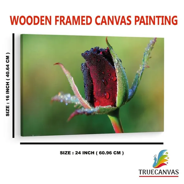 Multicolor_16_X_24_Inch,_Pine_Wood_Framed_Canvas_Paintings_|_For_Home_Decor,_Ready_To_Wall_Hanging,_Premium_Painting_|_For_|_Bedroom,_Living_Room,_Office_Wall_Decoration_|_Wall_Art_Painting,_Ct2243